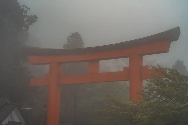 Off the Beaten Torii: Chiba's Sacred Shrine Trail That Most Visitors Walk Right Past